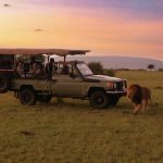 A four-wheel-drive safari vehicle on a track through national park grassland