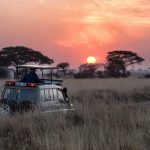 A safari vehicle travelling a dirt road across wide open country